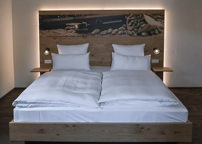 فندق Schneider Hotel & Brauereigasthof أسئينغ